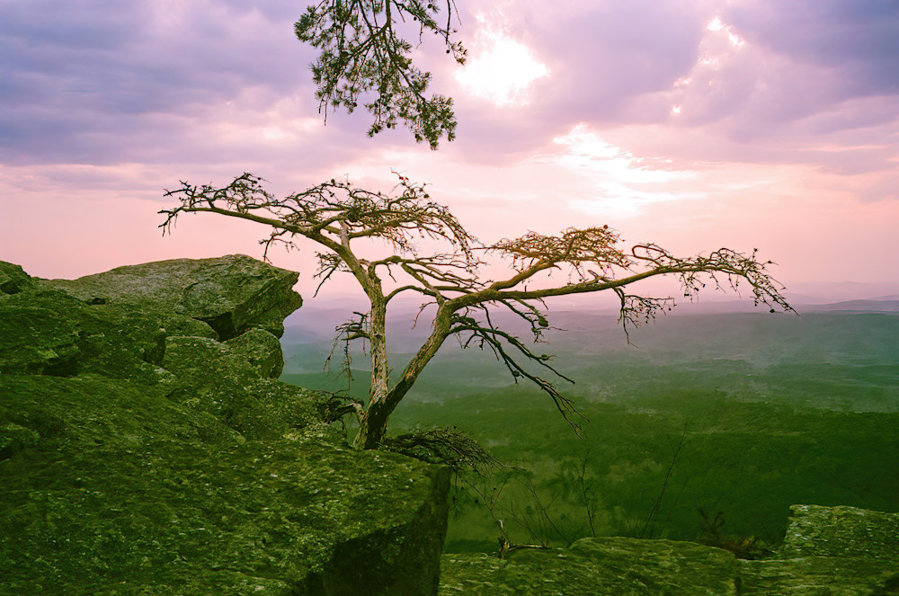 Film photograph image of Pulpit Rock in Cheaha State Park.