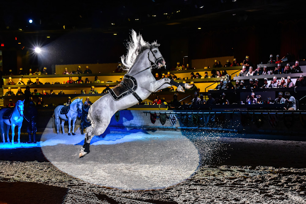 Horse jumping in renaissance arena