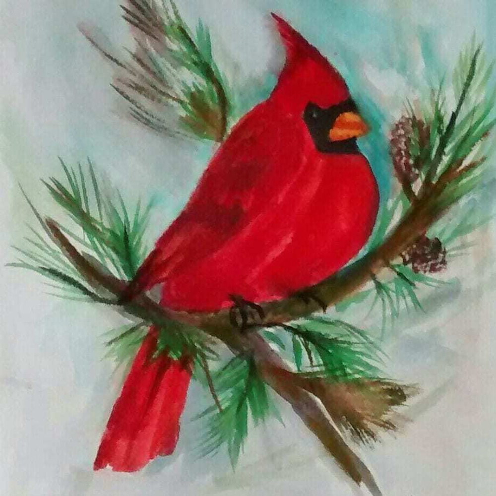 Cardinal   In The  Pines  Greeting Cards   Art | tinamelhusArt