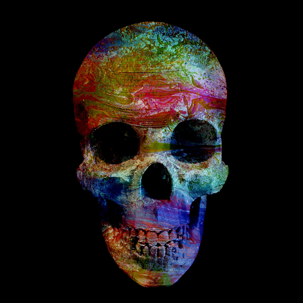 Painted Skull No  9 Art | KD Neeley, Artist