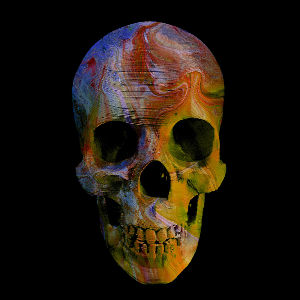 Painted Skull No 12 Art | KD Neeley, Artist