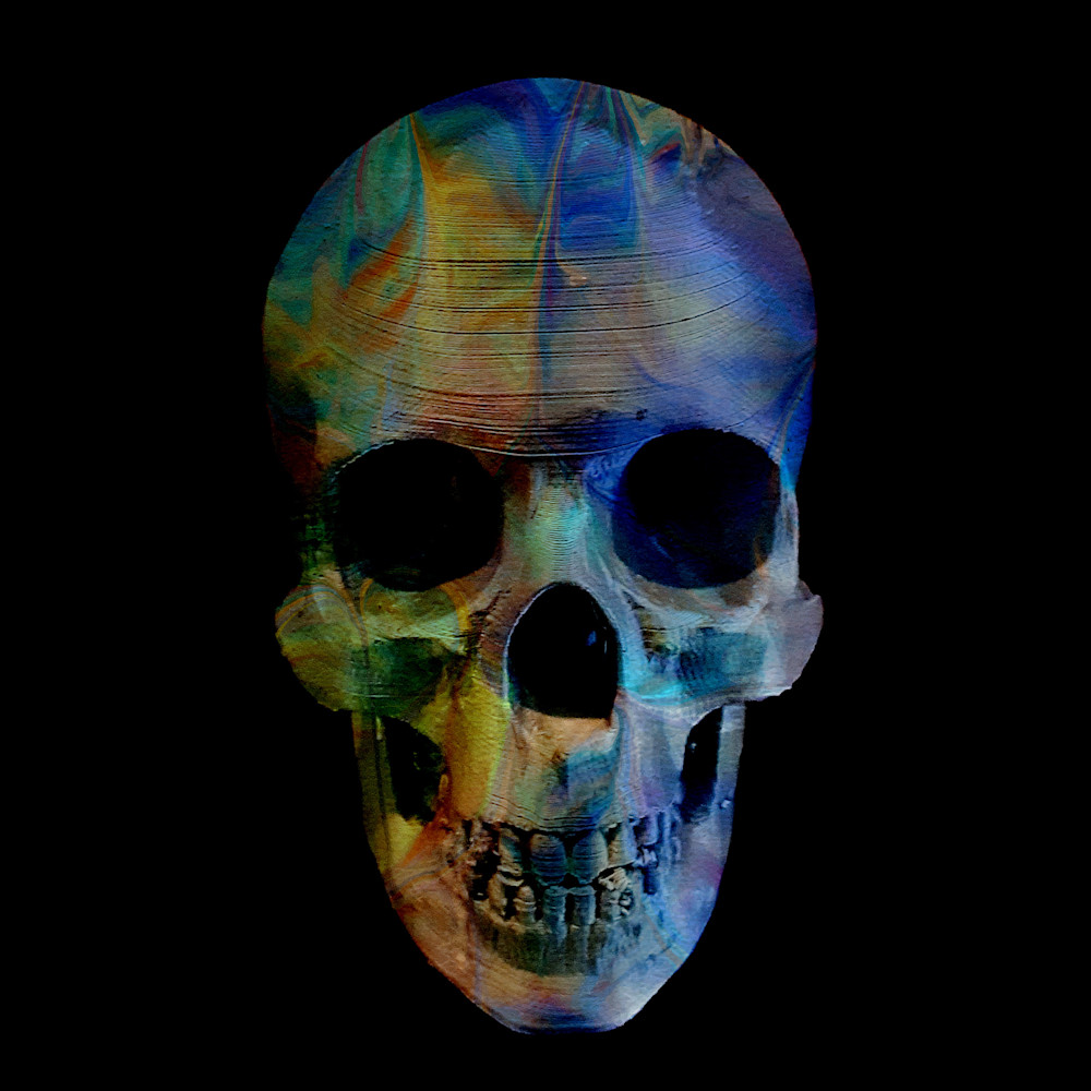 Painted Skull No 14 Art | KD Neeley, Artist