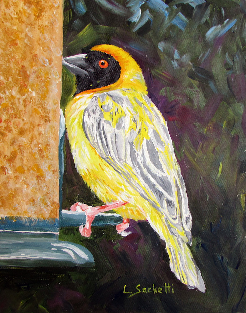 Yellow Weaver Art | Linda Sacketti