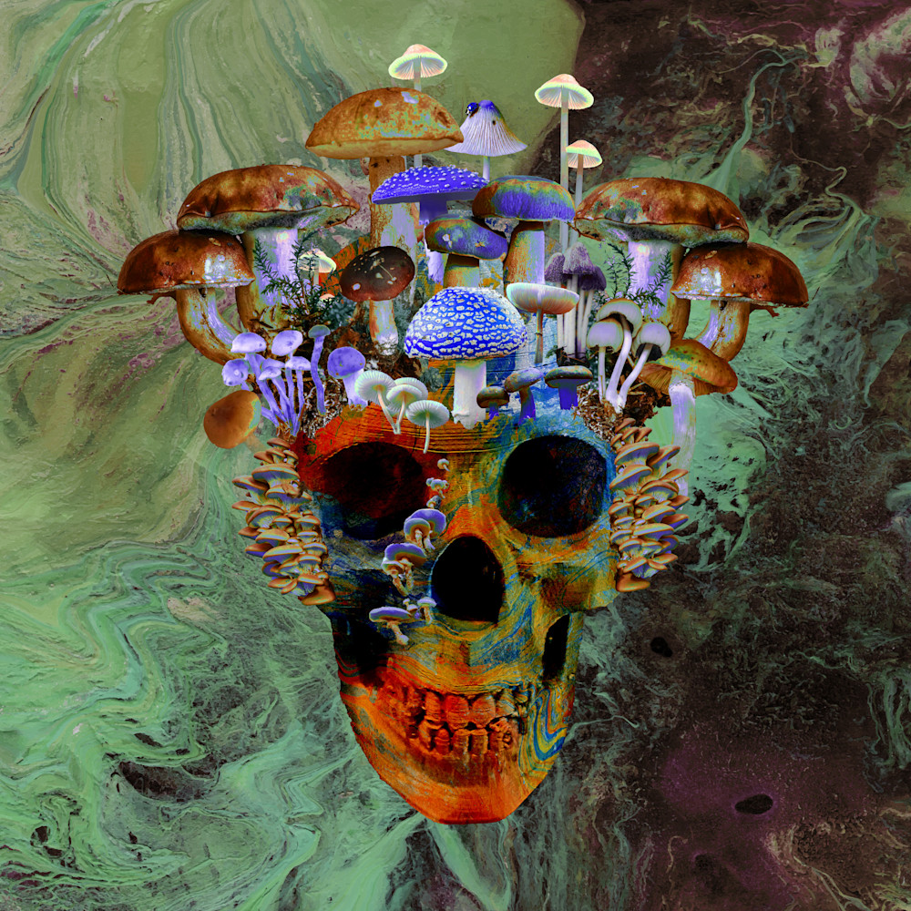 Mushroom Skull Copy Art | KD Neeley, Artist