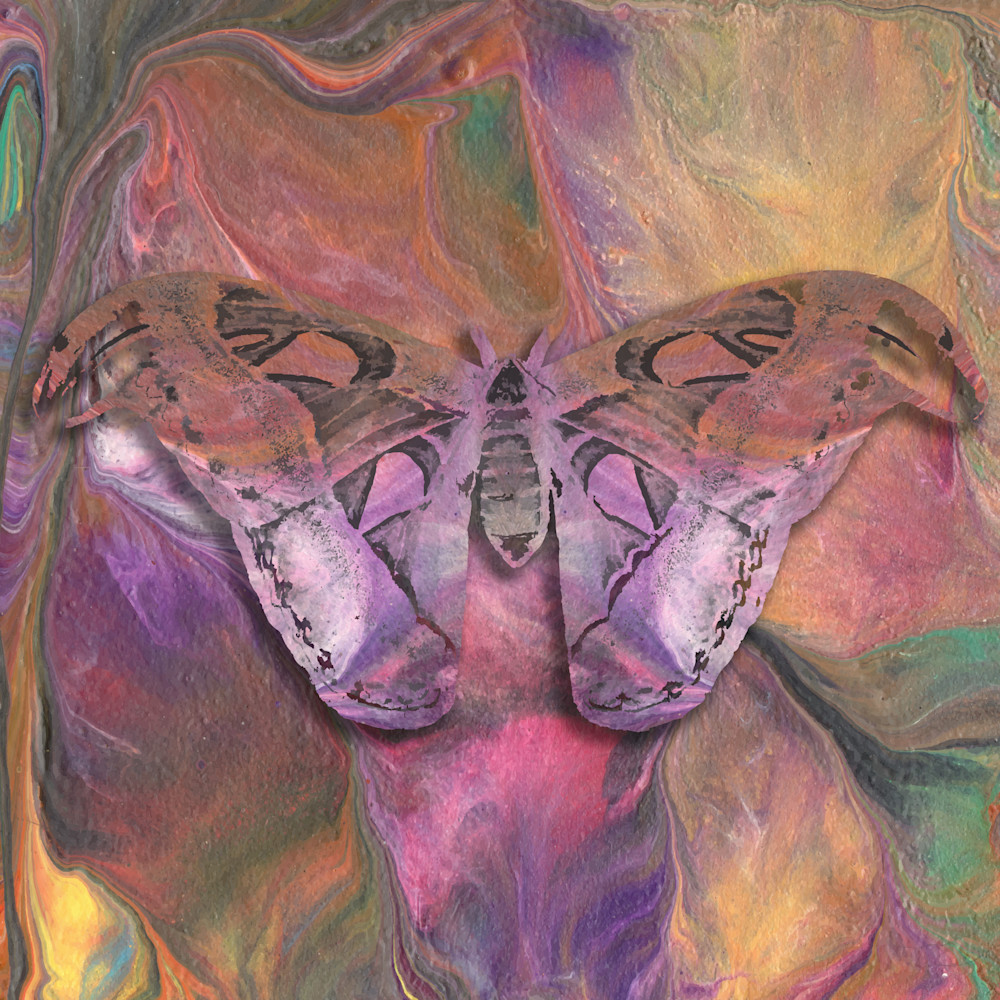 Pastel Wings Art | KD Neeley, Artist