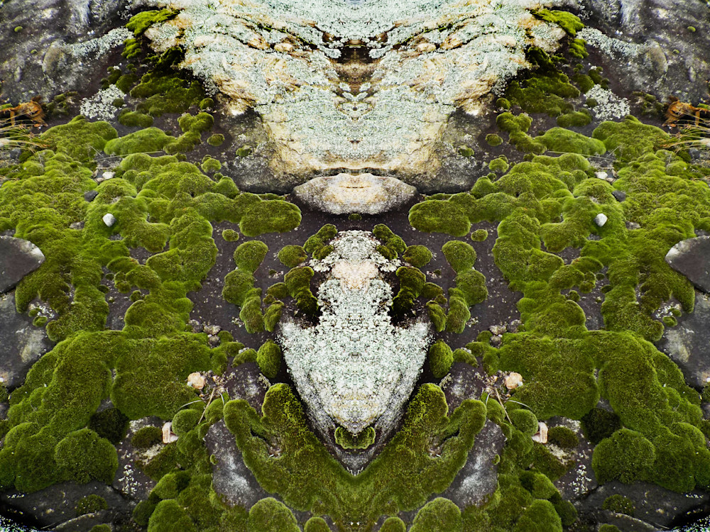Arabia Mountain 15 Photography Art | CORINNE ADAMS ART