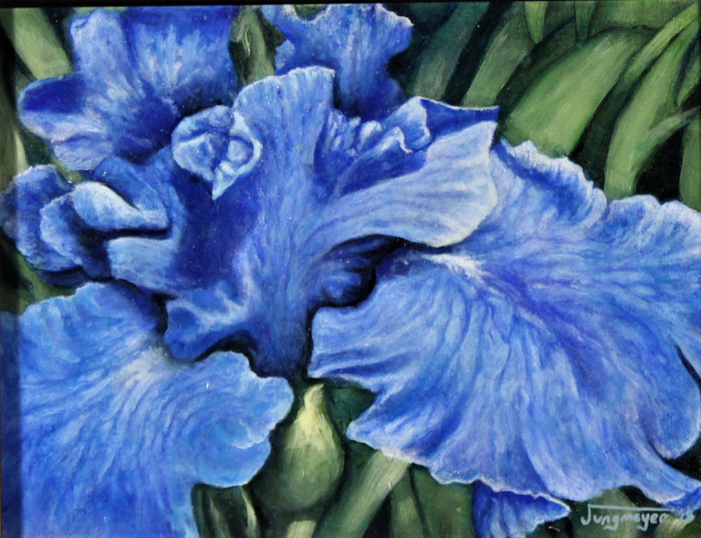 Blue Irises Art | Mark Jungmeyer