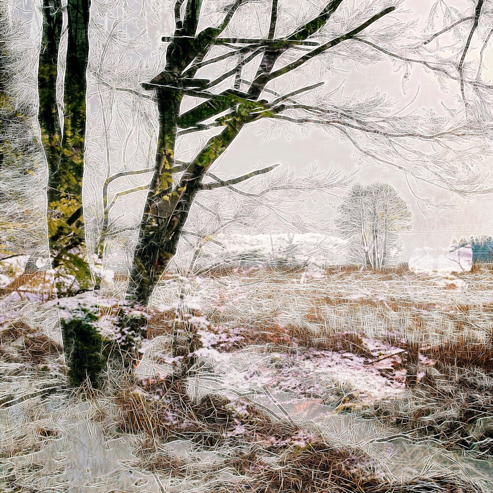 Winter In Sarnówku, Poland Art | Maciek Peter Kozlowski Art