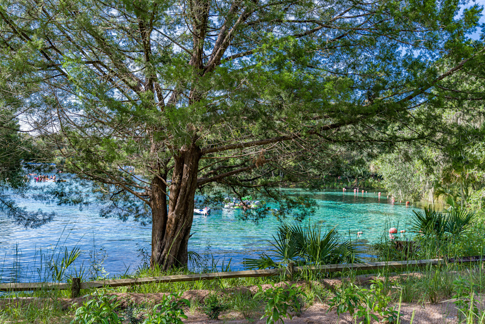 A Day At The Springs Photography Art | kramkranphoto