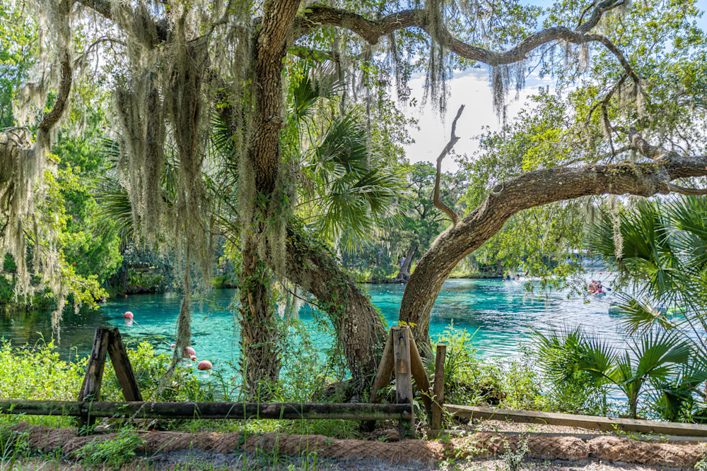 Silver Glen Serenity Photography Art | kramkranphoto