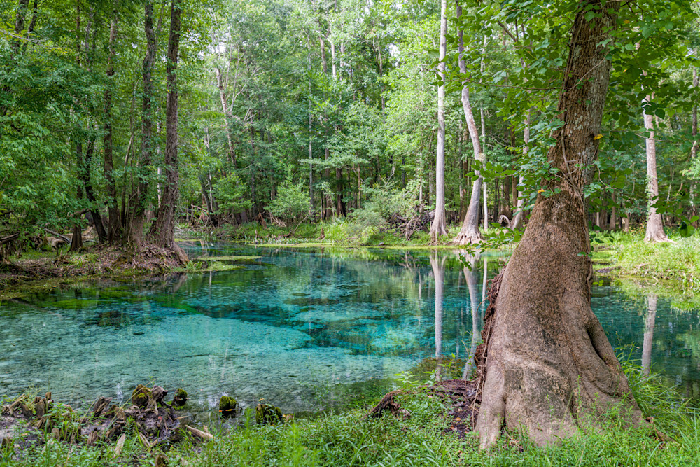 Naked Springs Photography Art | kramkranphoto