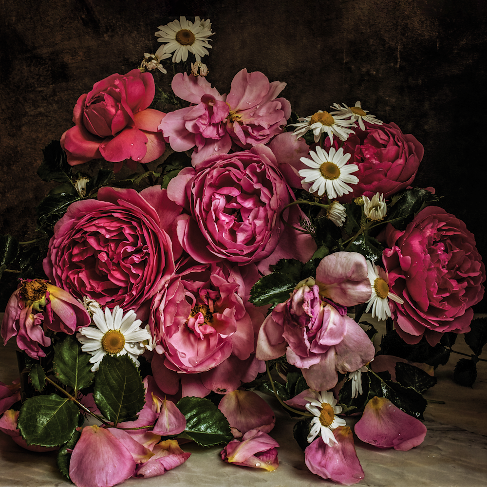 Hamilton Rose Photography Art | The Elliott Homestead, Inc.