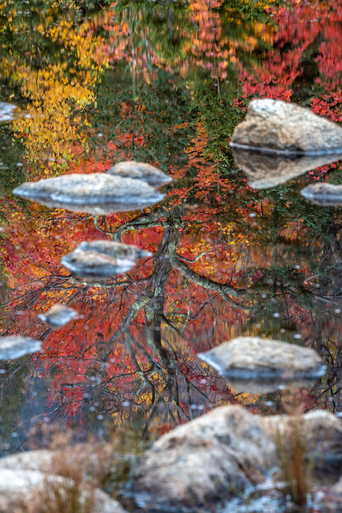 Livermore, New Hampshire   Lily Pond Photography Art | Jeremy Noyes Fine Art Photography
