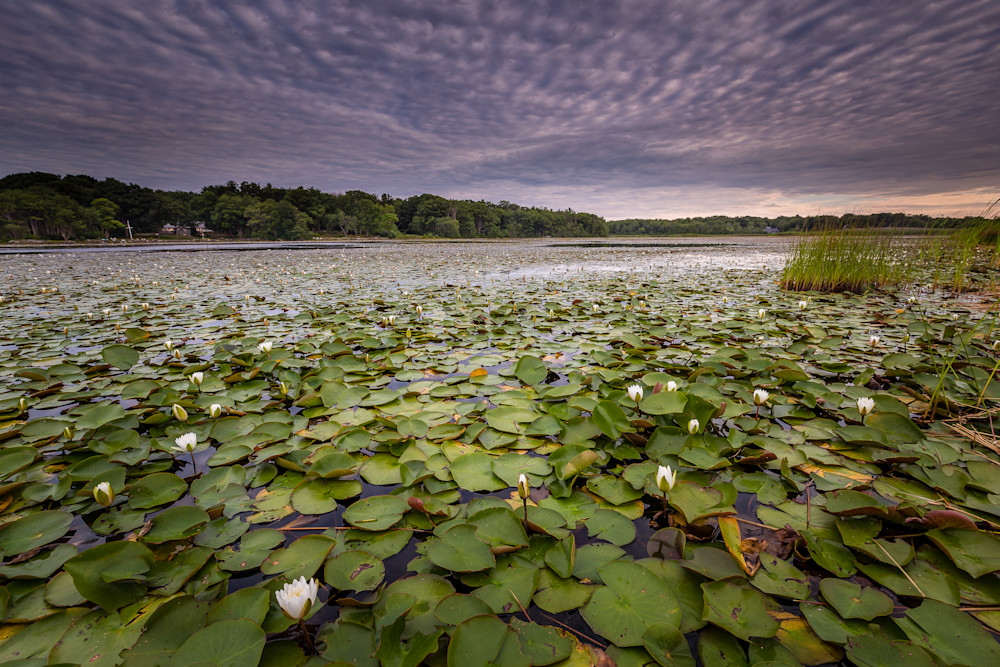 Rye, New Hampshire   Eel Pond Photography Art | Jeremy Noyes Fine Art Photography