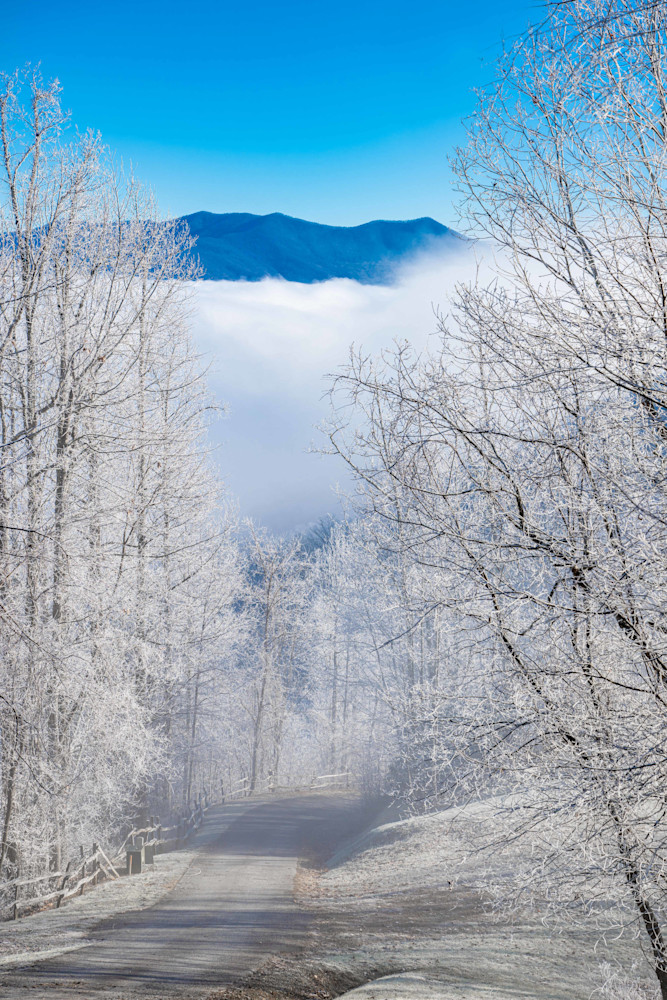 Winter Wonderland Photography Art | kramkranphoto