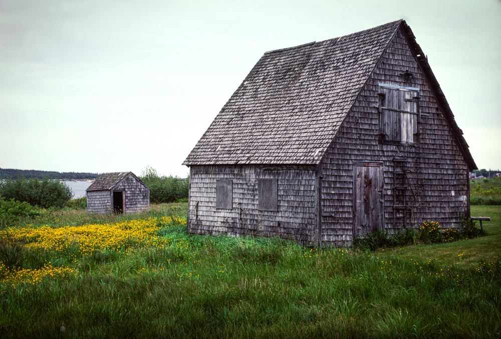Fishing Shed in a Meadow, Beals Island Maine