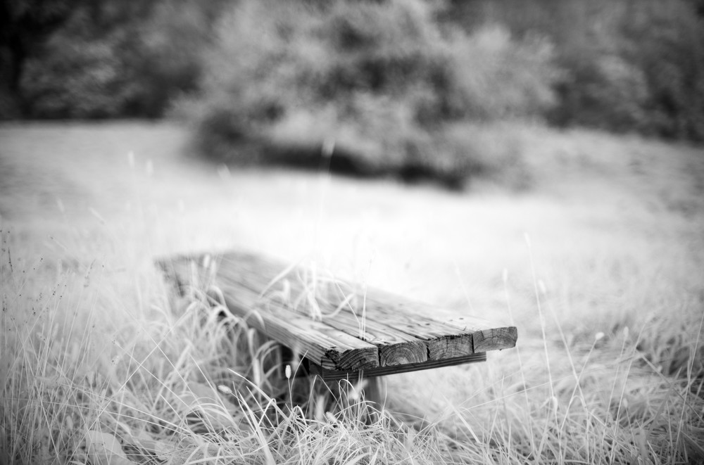 Bench in a Field, #6