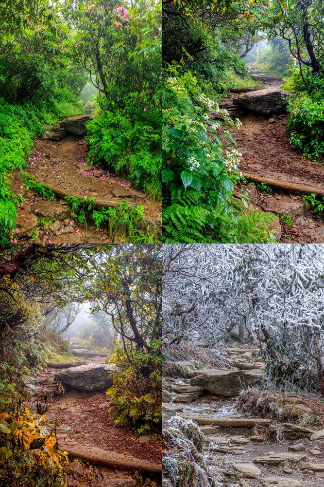 All Four Seasons Of The Craggy Pinnacle Trail Art | Red Rock Photography