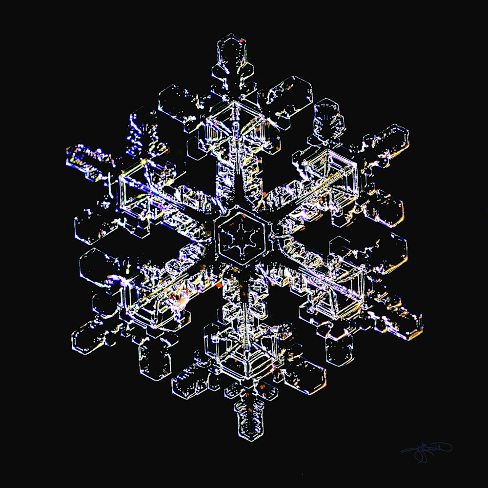 Snowflake On Microscope Slide With Extensive Dendritic Branches Photography Art | Real Snowflake Photography LLC