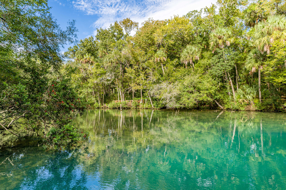 Colors Of Homosassa Springs Photography Art | kramkranphoto