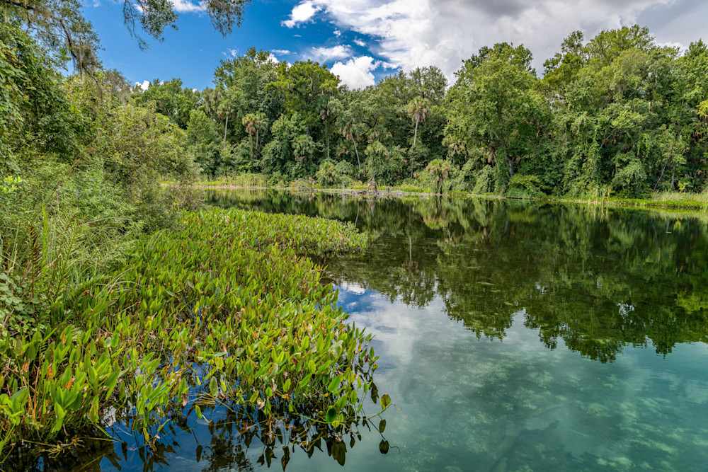Alexander Springs Photography Art | kramkranphoto