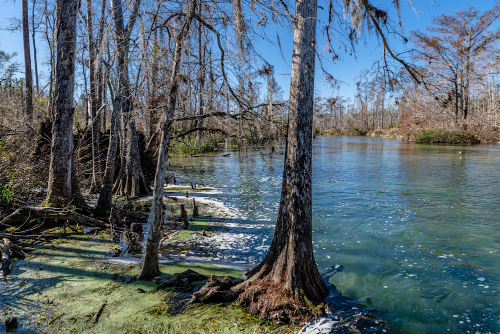 Spring Creek Photography Art | kramkranphoto