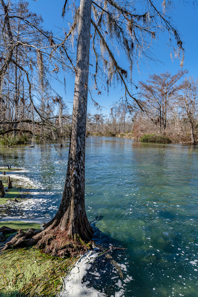 Spring Creek Photography Art | kramkranphoto