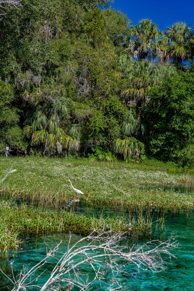 Rainbow Springs Photography Art | kramkranphoto