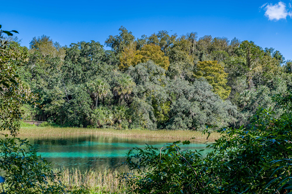 Rainbow Springs Photography Art | kramkranphoto