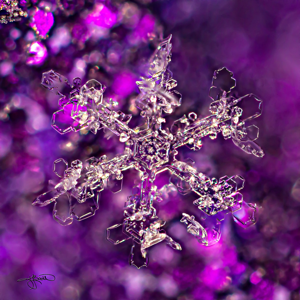 Snowcrystal On Purple Sparkle Background Photography Art | Real Snowflake Photography LLC