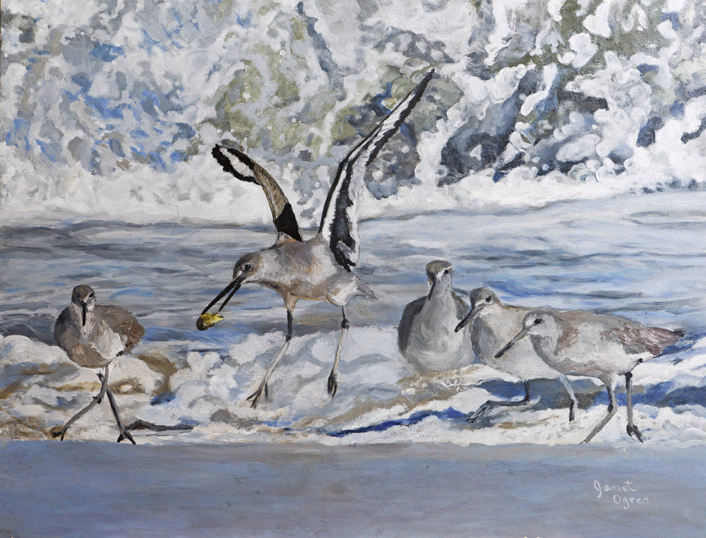 Willets and Waves Painting, Janet Ogren