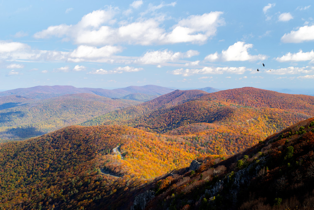 Skyline Drive as Seen from Stoney Man Summit is Shenandoah National Park, Virginia During Autumn - Fine Art Photo Print
