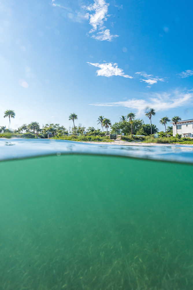 Smooth Operator Photography Art | kramkranphoto