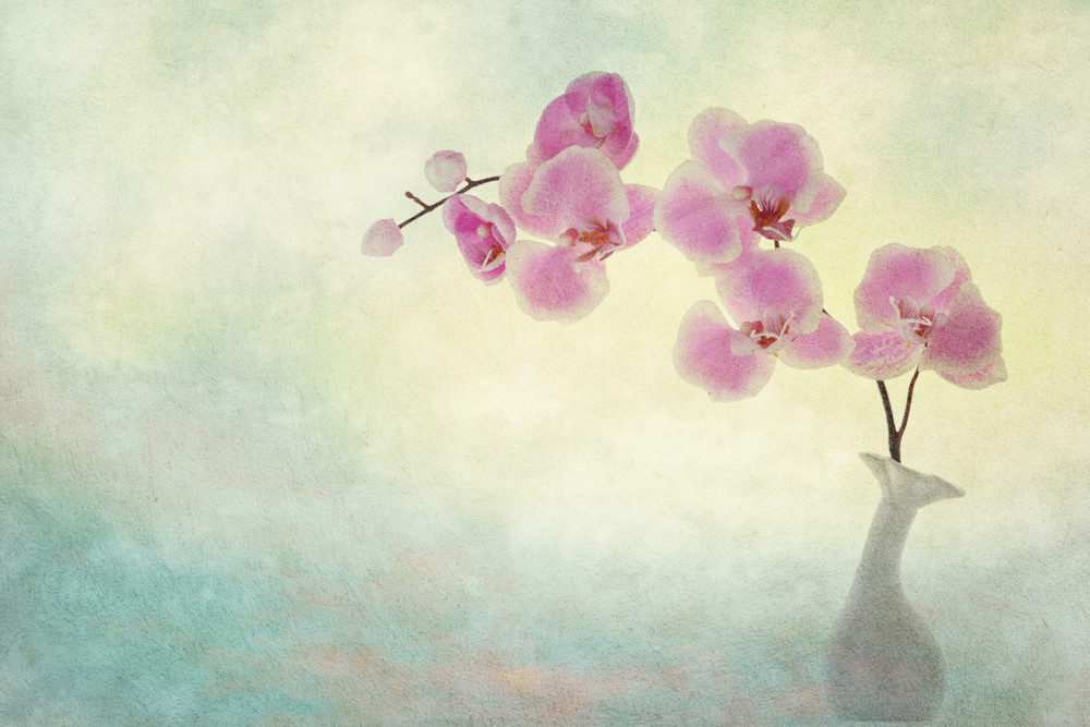 Ikebana