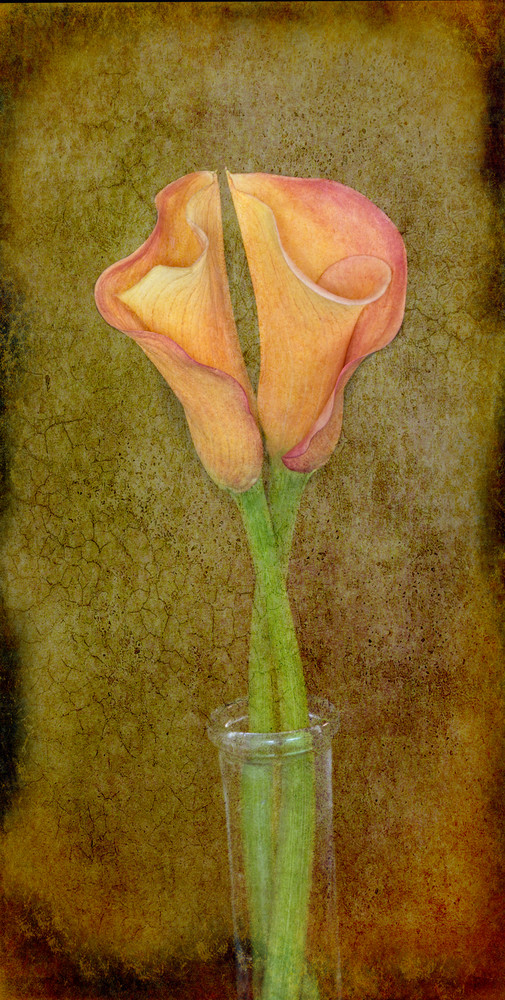 Antiqued Lilies