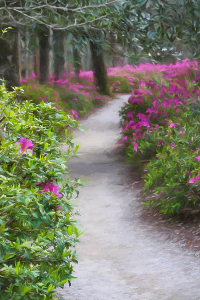 Garden Path Photography Art | Lightscapes Photographic Artwork