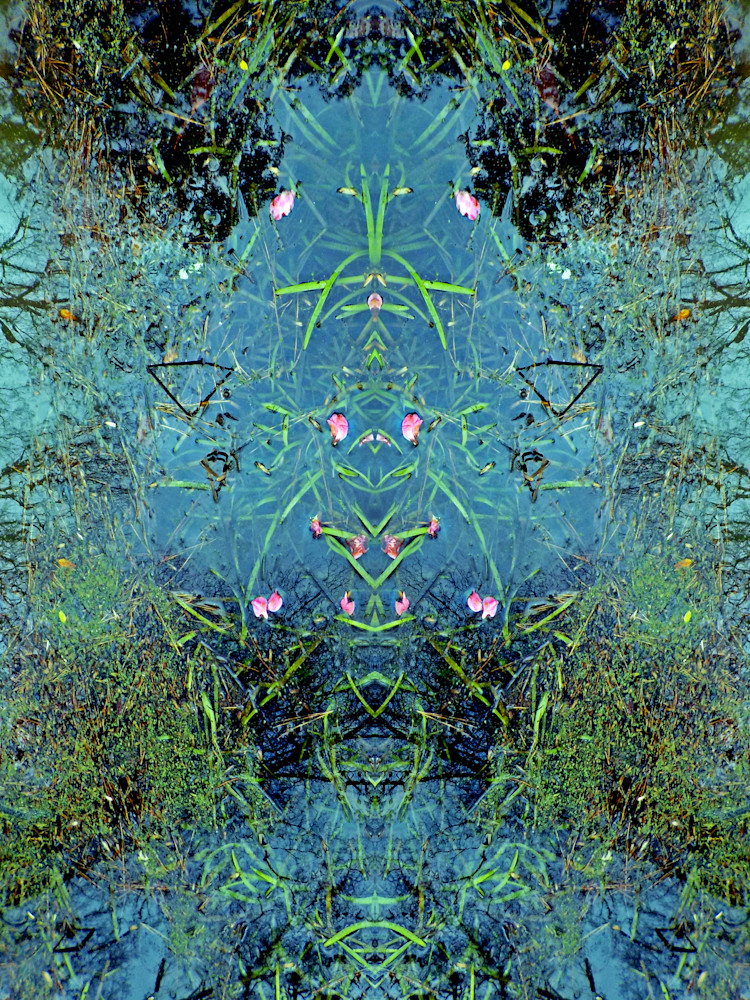 Spirit Of Place/ Into The Mystic 1 Photography Art | CORINNE ADAMS ART