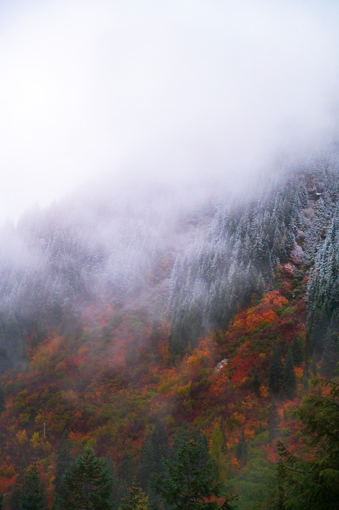 Changing Of The Seasons Photography Art | Call of the Mountains Photography