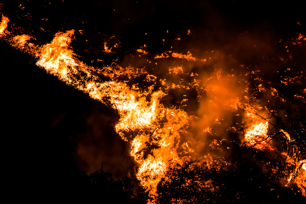Close Up Detail Wildfire Burning Brush Hillside California Woolsey Fire