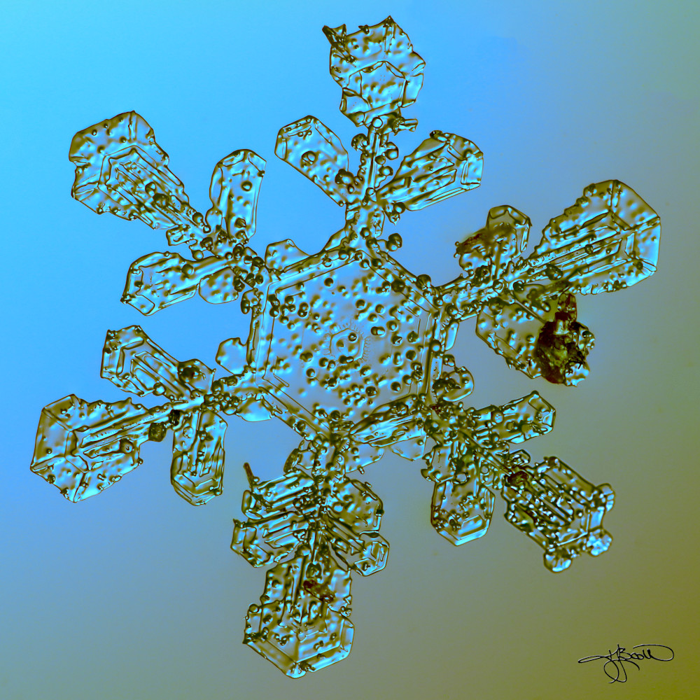 Teal And Gold Rimey Snowflake Photography Art | Real Snowflake Photography LLC