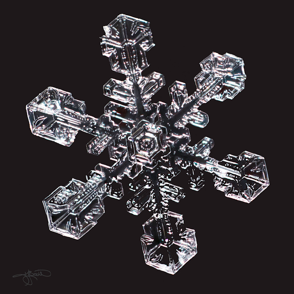 Focus Stacked Removed Background Snowcrystal Photography Art | Real Snowflake Photography LLC