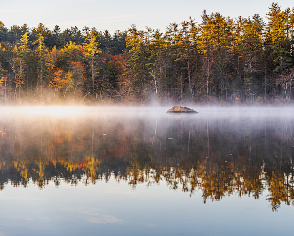 Morning Mist By The Pond 6216 Photography Art | Morgane Mathews Fine Art Photography