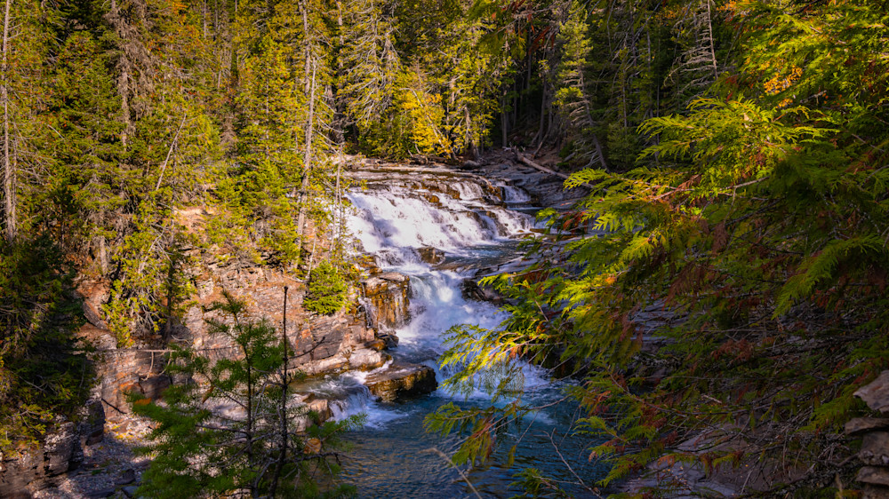 Forest Stream Photography Art | RPG Photography