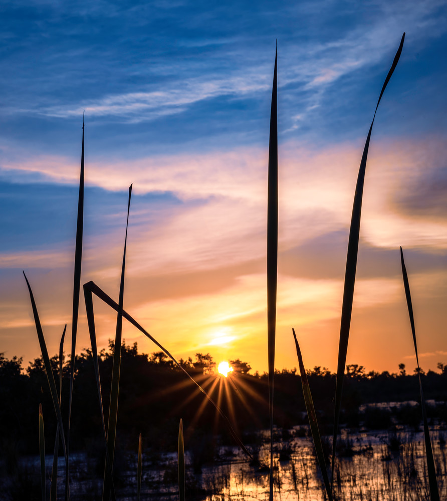 Marsh Sunrise Photography Art | Thirdwind Photography