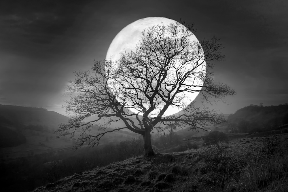 Harv Greenberg Photography - Nightscapes - Harvest Moon I