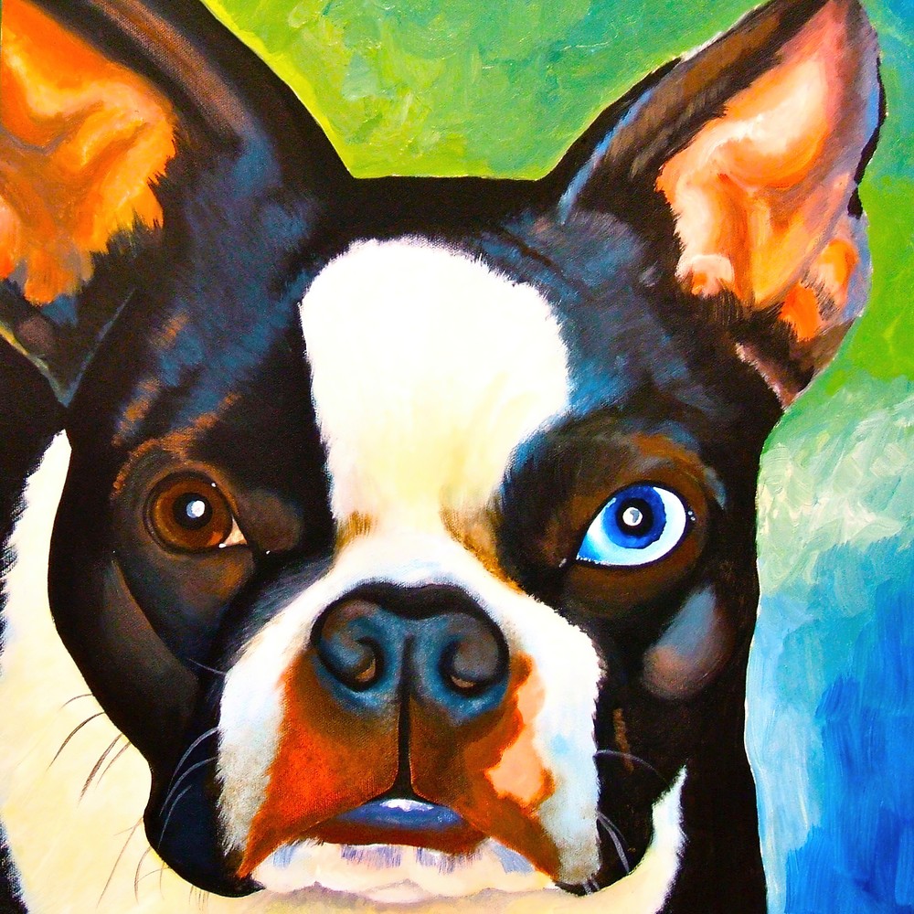 Boston Terrier Art | Art by Melanie Anderson
