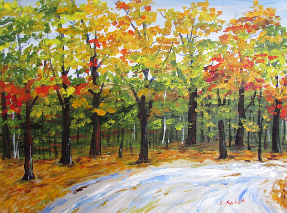 Feeling fall in Montreal, a fall landscape, fine art prints and merchandise | Linda Sacketti