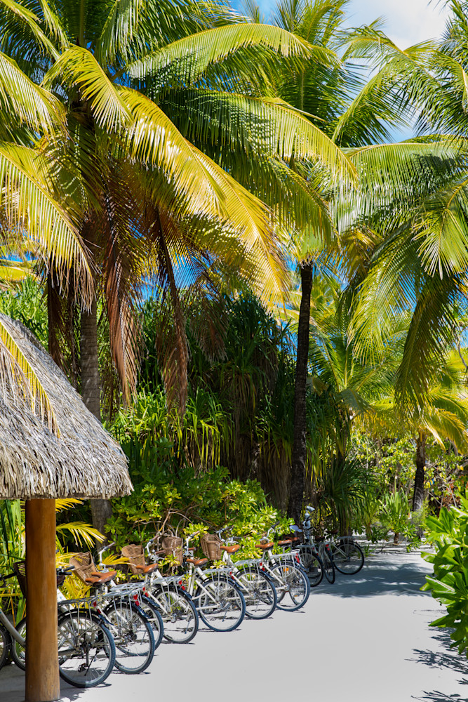 Tropical Photography, Tahiti, Island Paradise, Island Bike Ride, Beach Parking, Palm Tree Photography, Tropical Wall Decor