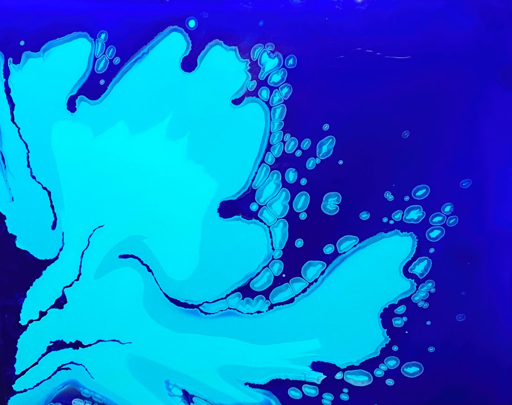 Tidal Bloom Art | William Demaniow Arts