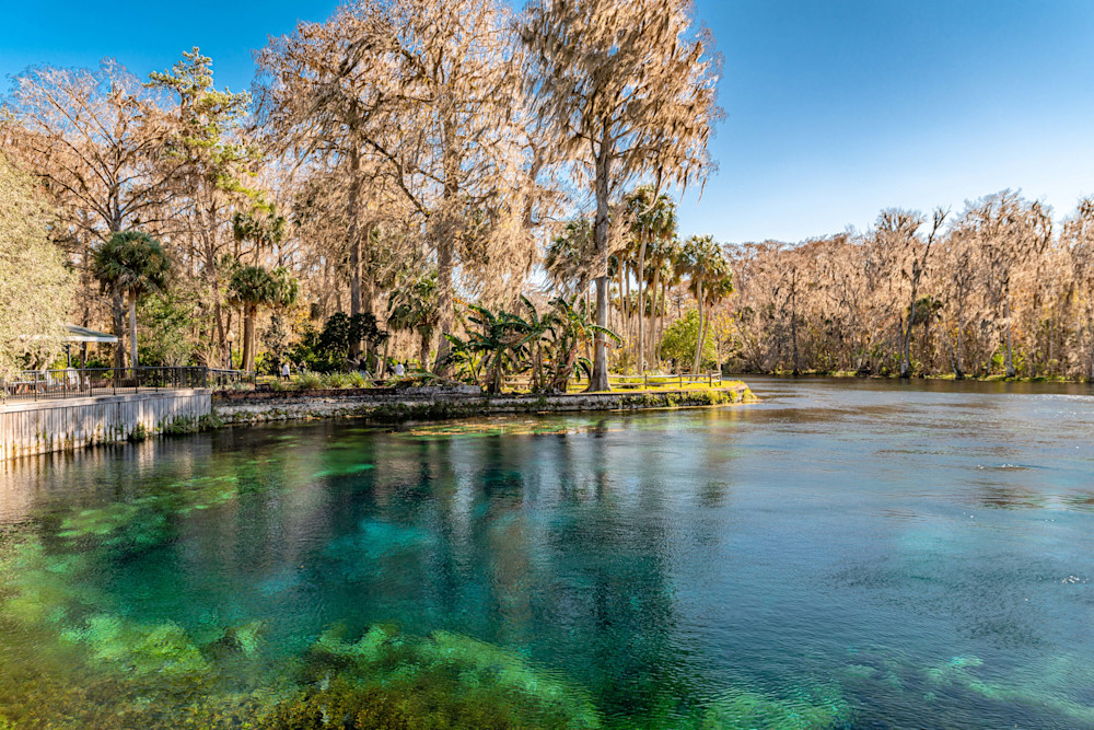 Silver Springs Photography Art | kramkranphoto